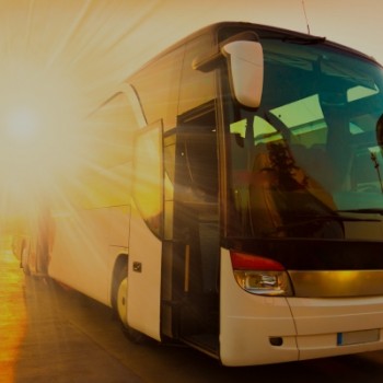 Renovação de Curso Transporte Escolar